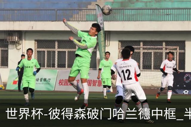 世界杯-彼得森破门哈兰德中框 半场挪威1-0塞内加尔